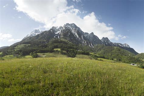 Webcams Saalfelden & Leogang 